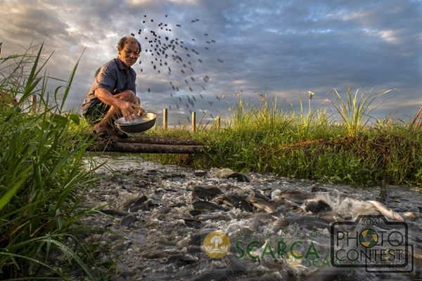 15th SEARCA Photo Contest (2021) - Finalist: TRAN VAN TUY, Vietnam