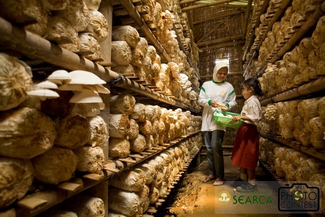 16th SEARCA Photo Contest (2022) - Finalist: BUDI PRAKASA KARYADI, Indonesia