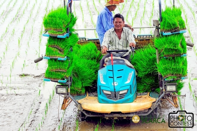 16th SEARCA Photo Contest (2022) - Finalist: PHAM QUOC HUNG, Vietnam